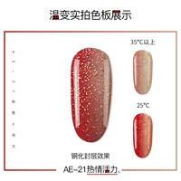 AE-21