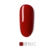 Misskris Nail and Tastless Kodan 2019 New Color Nail Polish Keo Nail Shop Có thể tháo rời Set Nail Shop chuyên dụng - Sơn móng tay / Móng tay và móng chân