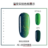 AE-28