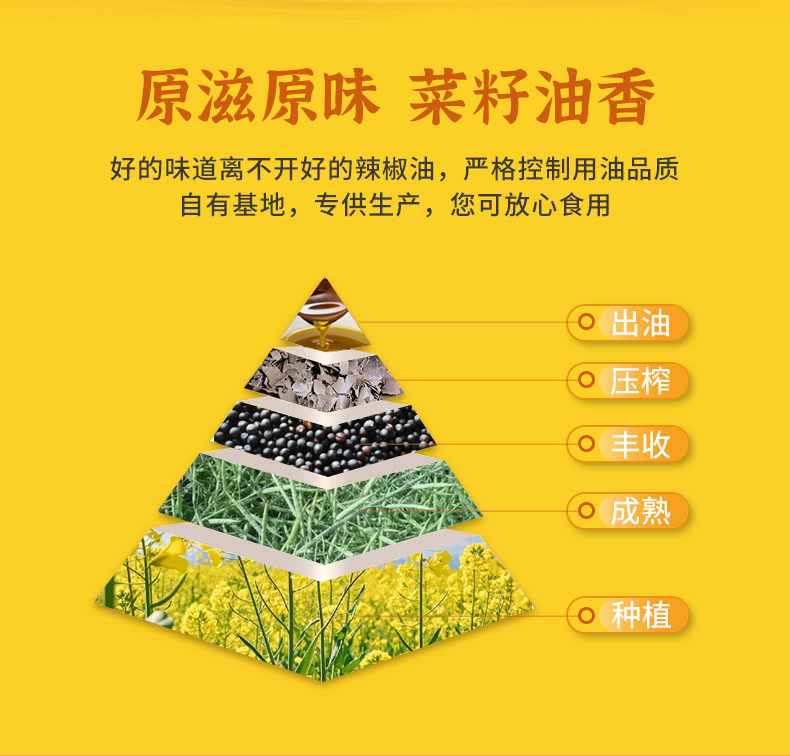 安享好物 安享E级油辣椒-川南油辣子 企标 