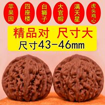 Boutique text to play walnut handball to play with Kirin print Grand official hat Millstones Four Blocks Apple Orchard White Lion Subhead