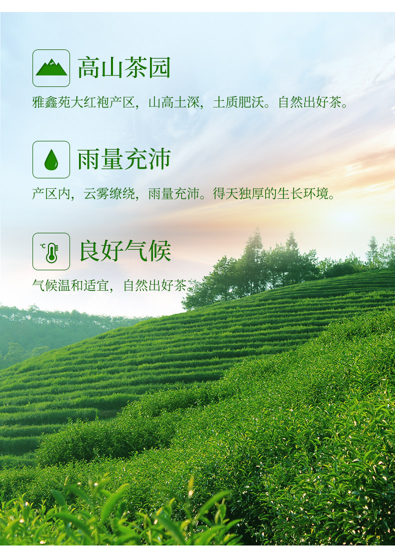 雅鑫苑 正宗武夷山大红袍 浓香型礼盒装 128g 图2