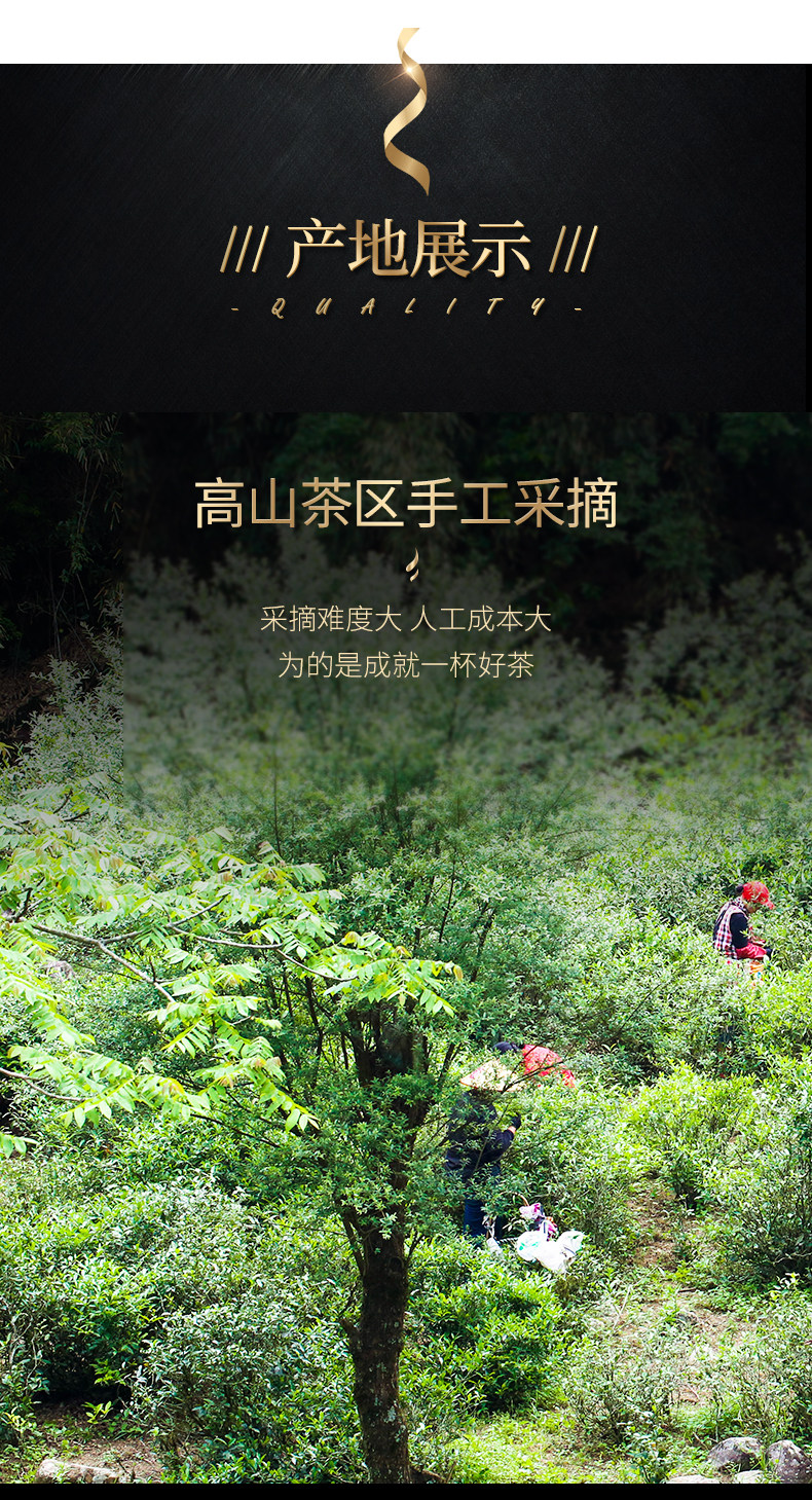 雅鑫苑 正宗武夷山大红袍 浓香型礼盒装 128g 图7