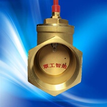 Water Flow Signal Water Pump Water Shortage Protection Flow Sensor Switch SK-DN40 Bezel Type