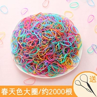 Весенний большой круг 2000 корней