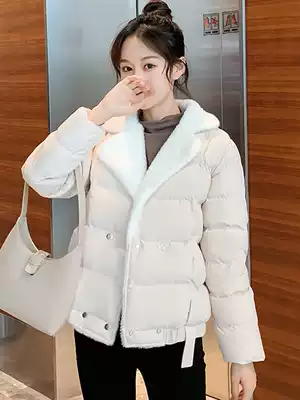 Down cotton jacket women short 2019 Winter new Korean version of loose lamb wool stitching cotton-padded jacket small man bread