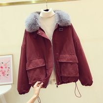 Pike clothing womens 2020 new Korean loose velvet thickened ins winter tooling short cotton coat