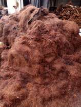 High quality fine mane brown bird nest Birds Nest plant soft horse hair brown silk coconut silk mountain brown coat coconut