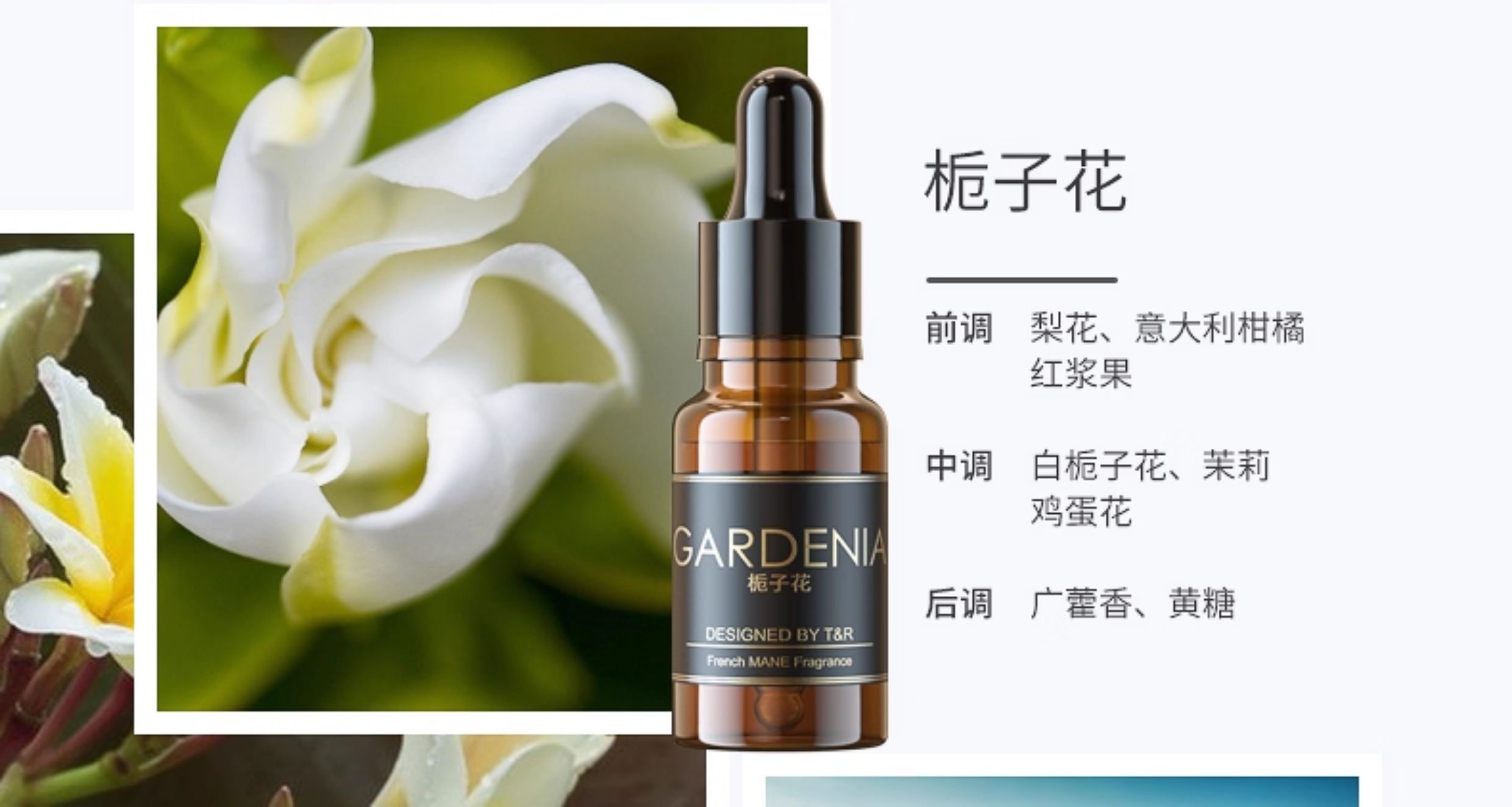 French Imported Car Perfume Refill Liquid, Car Spray Aromatherapy Essential Oil, Cologne Balm, Long-Lasting Light Fragrance, High-End