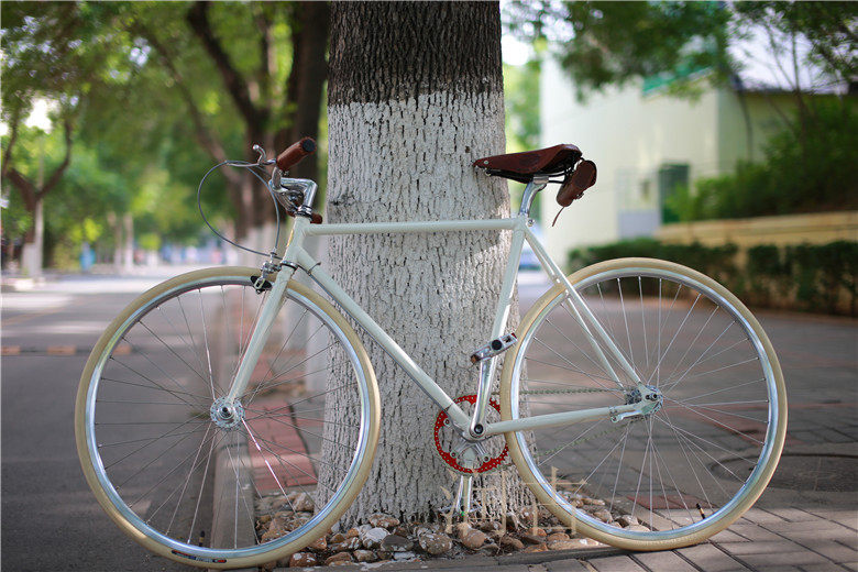 Selle de vélo - Ref 2350797 Image 27