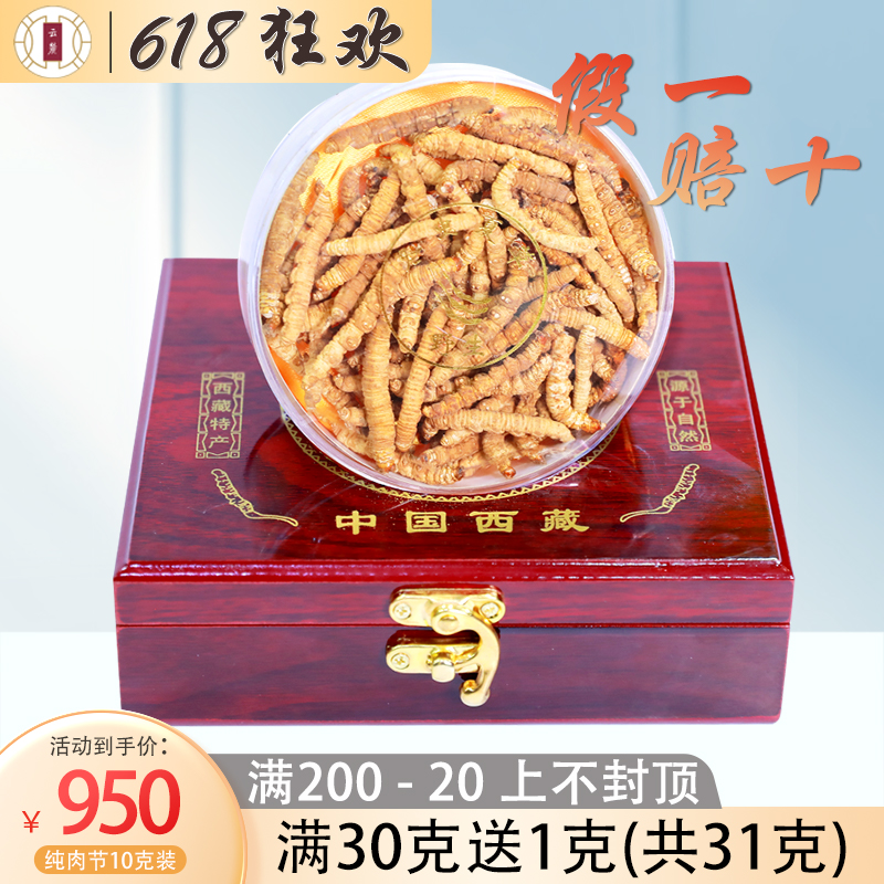 (Lhasa Shipped) Cloud foothills Fresh awe-dried Caterpillar Fungus pure meat Festival Broken Grass 10g Clothing