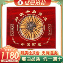 Yunlu Tibet Naqu Cordyceps Sinensis first period fresh cordyceps dry goods 5 grams 10 grams gift box