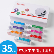 Xiwan (CIWA)35 pieces of biological section specimen microscope accessories 35 pieces