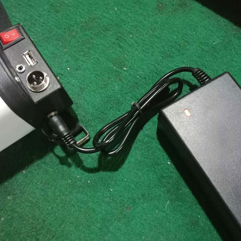 Baizifu bicycle booster lithium battery charger 24V 36V special mountain bike modified electric car