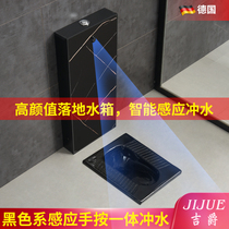 Hide Inductive Automatic Black Flush Tank Squatting Toilet Adults Squat Pit Toilet Home Toilet Bar Squat Toilet