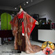 Ancient Costume for Male Emperor Role, Same Style as Wei Zifu, Female Ancient Costume, Qin Shihuang, Han Empress, Queen, Hanfu, Empress Dowager