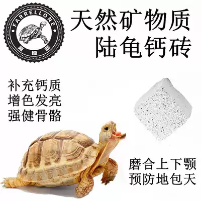 Tortoise molars mineral calcium brick Run-in upper and lower jaw calcium supplement to prevent hyperplasia Cuttlefish bone natural mineral calcium brick