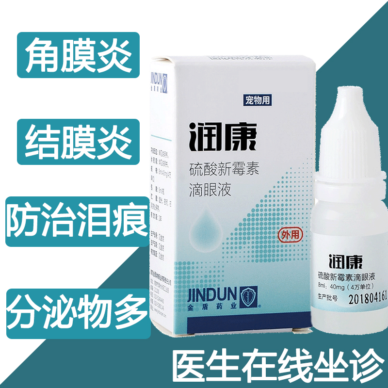 Eye drops cats pooch with eye drops conjunctivitis red swollen to tears keratoconjunctivitis eyelid fluid