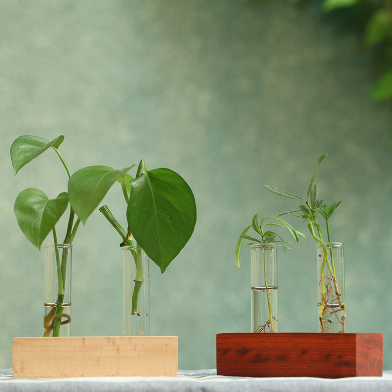 Desktop hydropony is full RMB100  plus 1 yuan for delivery less than not to send a single buy not to ship one customer can only one copy