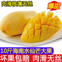 Hainan Water Fairy Mount Fruit 10 kg of the full tank of fresh fruit in the season is now picked Golden Huang Mang 5