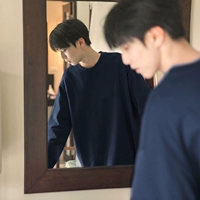 Тибетский голубой (сплошной цвет с длинным цветом t -мала) высокий грамм тяжелых фунтов