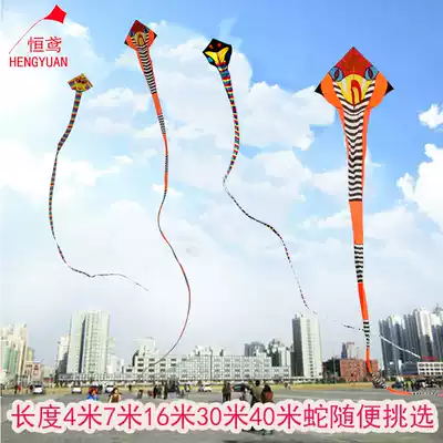 Weifang Heng kite kite long snake breeze Yifei children's new high-end large cobra spool wheel beginner