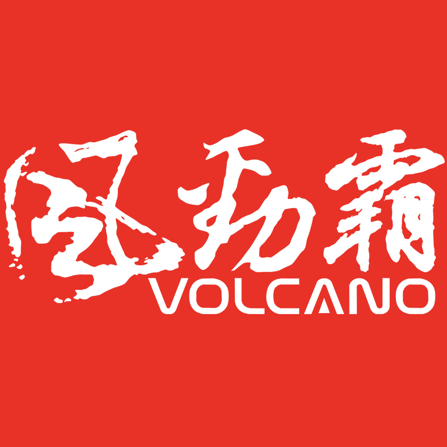 风劲霸车品旗舰店的LOGO
