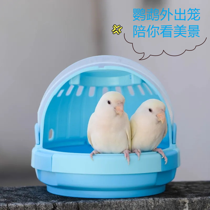 Budgerigars go out cage portable portable small transparent honey bag glider peony bird cage space capsule