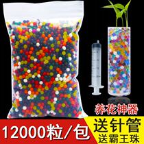 Absorbent ball big beads sponge baby water absorbent crystal water baby toy water elf ocean baby growing beans