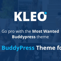KLEO - Next level WordPress Theme Enterprise-Company Topics