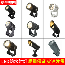 led spotlight waterproof spotlight outdoor garden park spotlight wall pillar lamp lawn plug COB tree lamp