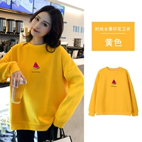 509-351 Куркума