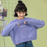 5381-397 Blue-Purple