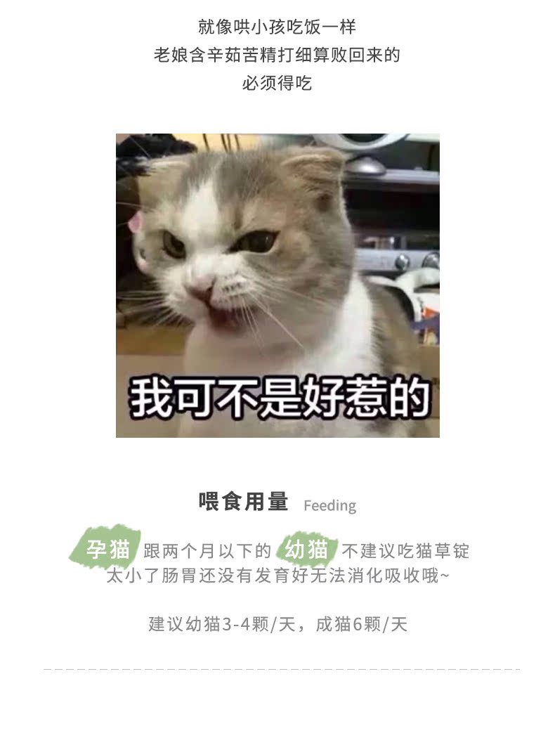 Đức Gimpet Jun Bao Cat Grass Ingot Hair Removal Hair Spit Healthy Healthy Health Health Cat Snack Cat Grass 425g - Cat / Dog Health bổ sung Sữa cho chó lớn