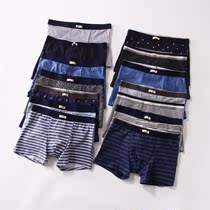 Boys Korean single organic cotton boxer briefs