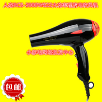  Renjie 822 high power 2000W hair dryer Hot and cold air professional hair salon ultra-quiet blowing