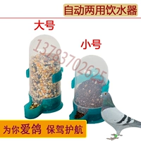 Pigeon Uống tự động cho ăn Ấm đun nước Thư Dove Cung cấp Parrot Trung chuyển Khay thức ăn cho chim Khay - Chim & Chăm sóc chim Supplies lồng chim yến phụng