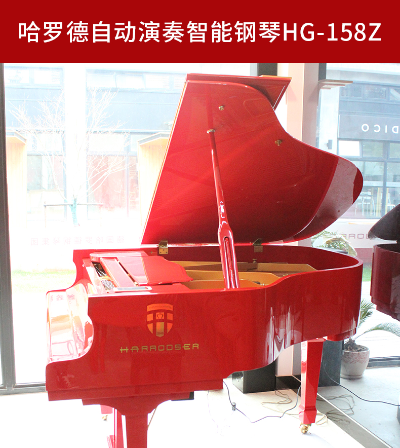 Đàn piano Harold Đức HG-158Z tự động chơi grand piano nhập khẩu chuyên nghiệp chơi piano - dương cầm đàn piano trắng