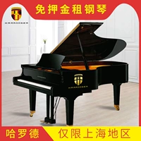 Đức Harold piano ký gửi miễn phí cho thuê đàn piano cho người mới bắt đầu lớp piano chuyên nghiệp cho thuê người lớn piano - dương cầm piano one