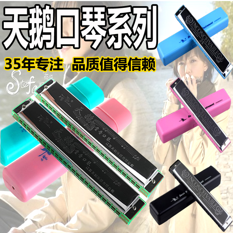 Harmonica swan harmonica 24-hole accented polyphonic C tune adult 24-hole harmonica beginner entry-level playing children's harmonica