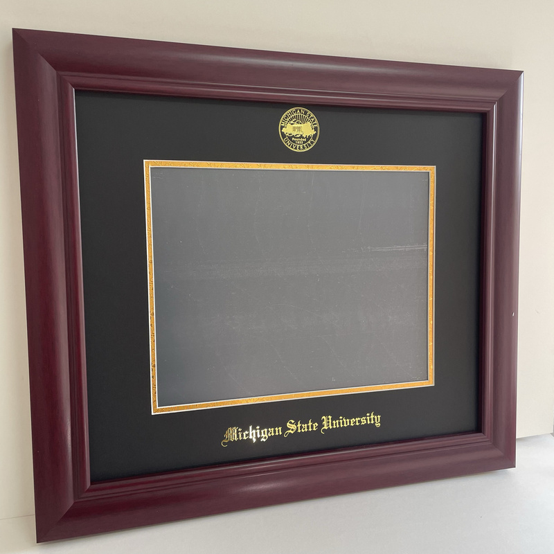 Michigan State University Graduation Gift Souvenir Photo Frame
