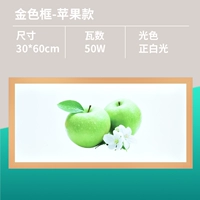 Золотая рама Apple 30x60 Long Light-48 WATT