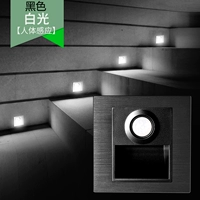[加厚铝质-黑色（白光-人体感应+光控）]