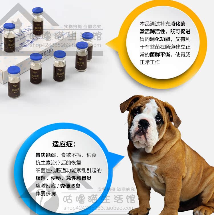 Ruột, dạ dày, dạ dày và ruột, mèo cưng, chó, tiêu chảy, táo bón, móc túi, chán ăn, viêm dạ dày ruột cấp tính và mãn tính - Cat / Dog Health bổ sung bio milk cho mèo