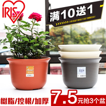 Alice middle bowl pot PP resin thickened plastic pot Alice planting rose rose rose Green Hydrangea European moon flower pot