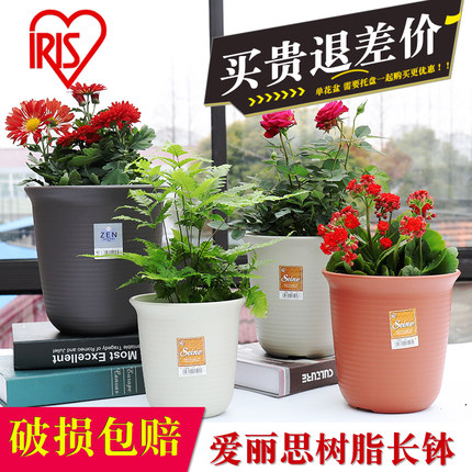 Alice flower pots brand new PP resin flower pots deepen the thickening IRIS long bowl basin short hold the awesome water fairy wind shinko