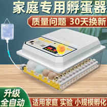 110V-240V can be used in English incubators fully automatic household incubators chicken duck and goose incubators