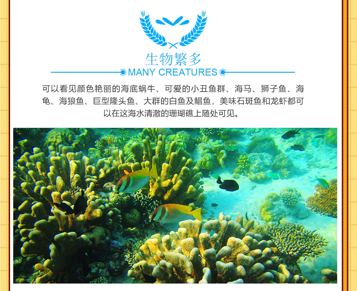 潜派旅行