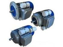 Italy Carpanelli Kappa facilitate port motor MA80B4 0 75KW imported brake motor