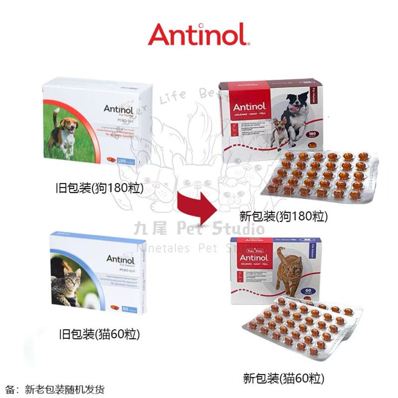 [in Stock] Antinol Joint Chondroitin for Dogs and Cats Pcso-524 Joint Strength